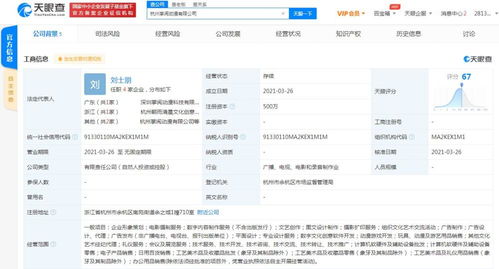 數(shù)字內(nèi)容制作服務 驅(qū)動品牌影響力與業(yè)務增長